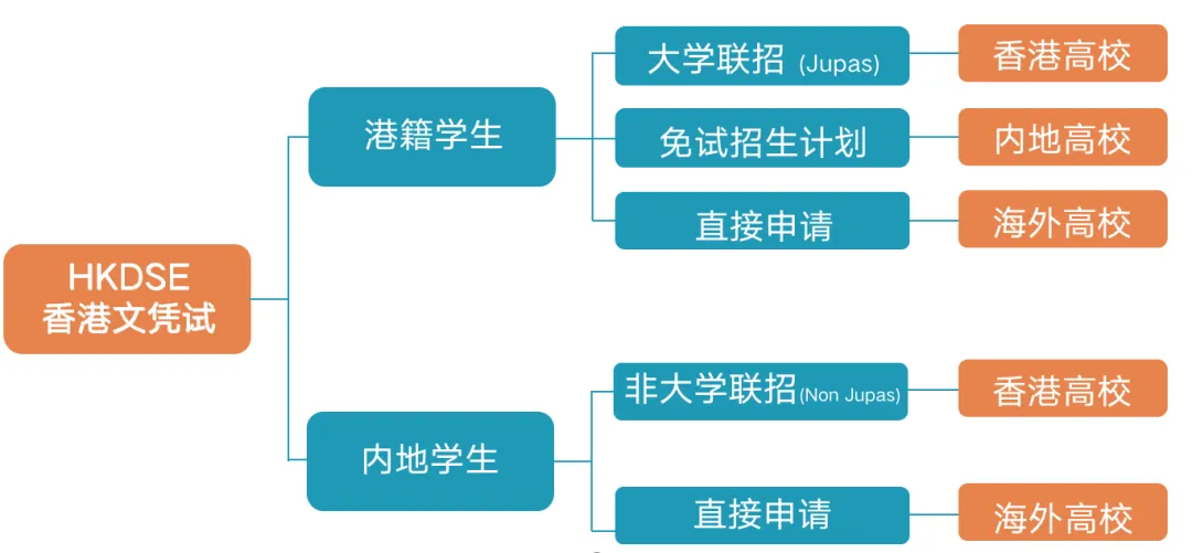 DSE課程的升學多元國內(nèi)外均可